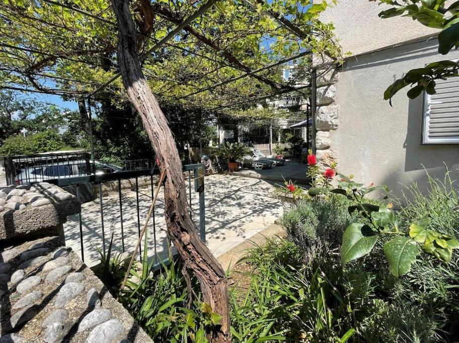 Apartment Nono Moj دوبروفينك المظهر الخارجي الصورة